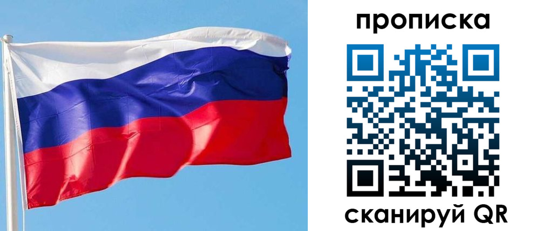 прописка поиск в Краснознаменске